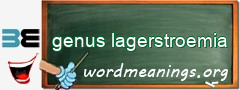 WordMeaning blackboard for genus lagerstroemia